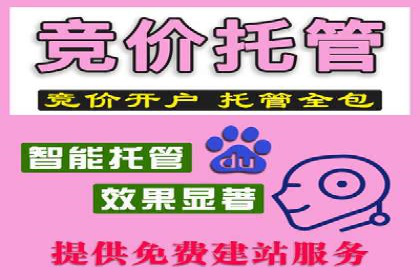 百度SEM竞价推广成功案例：某电商平台的营销奇迹